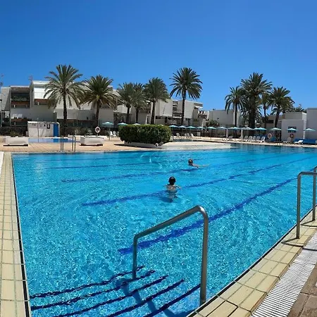 Everything Need Right Here 라스 가예타스